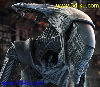 异形皇后-3D打印模型的图片10