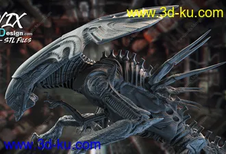 异形皇后-3D打印模型的图片11