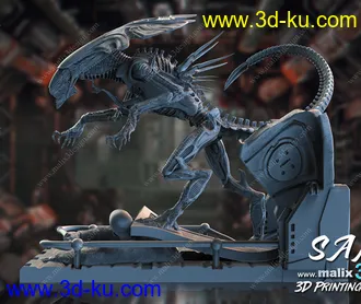 异形皇后-3D打印模型的图片25
