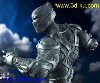 漫威漫画-黑豹-3D打印模型的图片