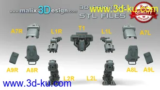 Zitadelle机器人-3D打印模型的图片