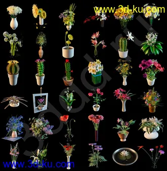 鲜花模型合集,盆栽,花盆,蒲公英,仙人球,菊花,玫瑰,百合等花模型36个的图片1