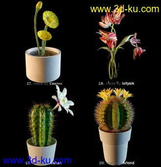 鲜花模型合集,盆栽,花盆,蒲公英,仙人球,菊花,玫瑰,百合等花模型36个的图片9