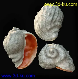 室内物品模型合集,钟表,鱼缸,手袋,鸟笼,鞋子,贝壳,望远镜,水桶等模型的图片56
