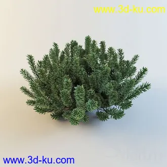 花模型13个的图片
