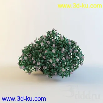 花模型13个的图片