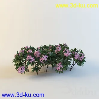 花模型13个的图片