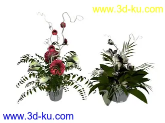 花模型13个的图片