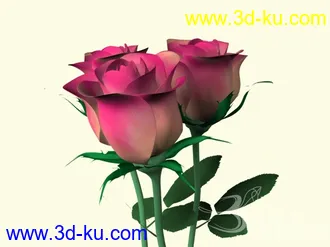 花模型13个的图片