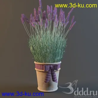 花瓶模型31个的图片