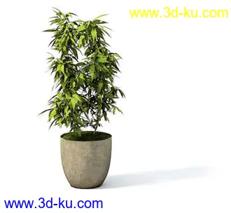 盆栽模型,盆景模型,花卉模型,植物模型合集共63个的图片
