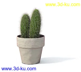 盆栽模型,盆景模型,花卉模型,植物模型合集共63个的图片