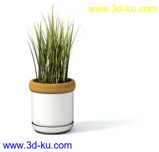 盆栽模型,盆景模型,花卉模型,植物模型合集共63个的图片