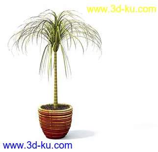 盆栽模型,盆景模型,花卉模型,植物模型合集共63个的图片