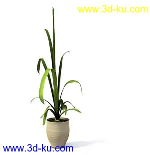 盆栽模型,盆景模型,花卉模型,植物模型合集共63个的图片