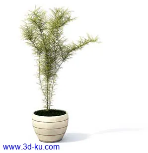 盆栽模型,盆景模型,花卉模型,植物模型合集共63个的图片