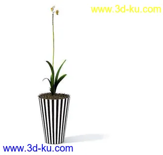 盆栽模型,盆景模型,花卉模型,植物模型合集共63个的图片