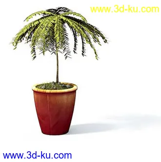 盆栽模型,盆景模型,花卉模型,植物模型合集共63个的图片