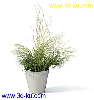 盆栽模型,盆景模型,花卉模型,植物模型合集共63个的图片