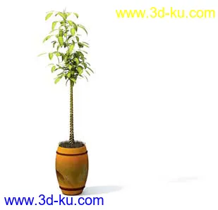 盆栽模型,盆景模型,花卉模型,植物模型合集共63个的图片