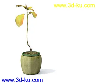 盆栽模型,盆景模型,花卉模型,植物模型合集共63个的图片