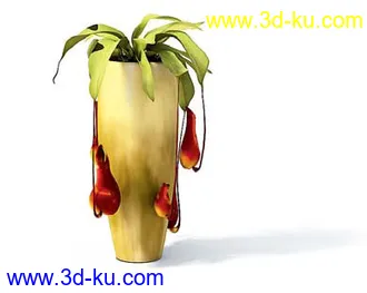 盆栽模型,盆景模型,花卉模型,植物模型合集共63个的图片