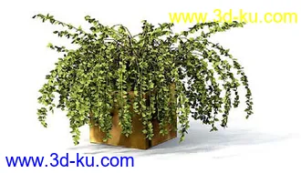 盆栽模型,盆景模型,花卉模型,植物模型合集共63个的图片