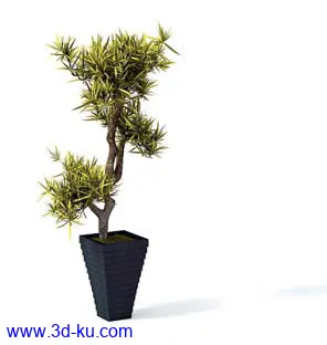 盆栽模型,盆景模型,花卉模型,植物模型合集共63个的图片