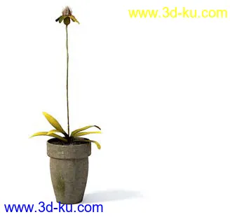 盆栽模型,盆景模型,花卉模型,植物模型合集共63个的图片