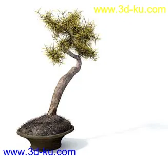 盆栽模型,盆景模型,花卉模型,植物模型合集共63个的图片