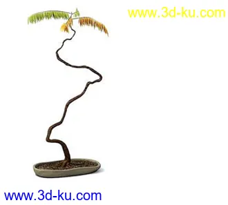 盆栽模型,盆景模型,花卉模型,植物模型合集共63个的图片