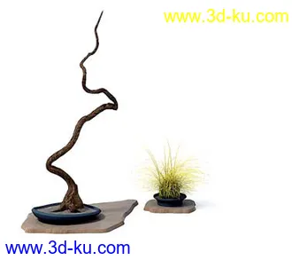 盆栽模型,盆景模型,花卉模型,植物模型合集共63个的图片