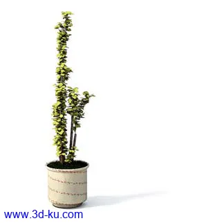 盆栽模型,盆景模型,花卉模型,植物模型合集共63个的图片