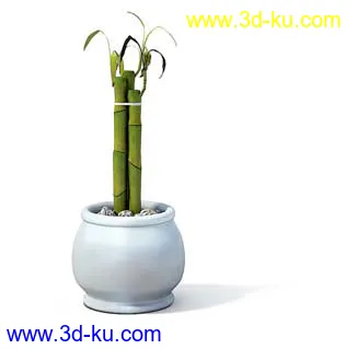 盆栽模型,盆景模型,花卉模型,植物模型合集共63个的图片