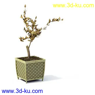 盆栽模型,盆景模型,花卉模型,植物模型合集共63个的图片34