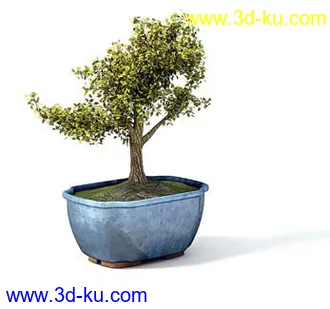 盆栽模型,盆景模型,花卉模型,植物模型合集共63个的图片37