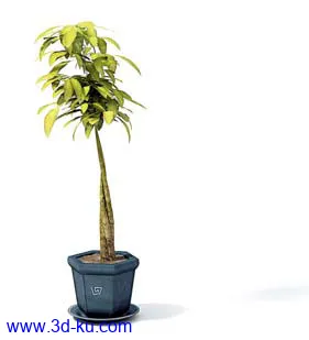 盆栽模型,盆景模型,花卉模型,植物模型合集共63个的图片38