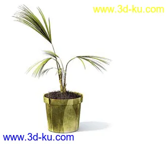 盆栽模型,盆景模型,花卉模型,植物模型合集共63个的图片41