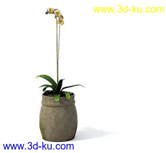 盆栽模型,盆景模型,花卉模型,植物模型合集共63个的图片46