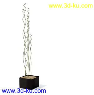 盆栽模型,盆景模型,花卉模型,植物模型合集共63个的图片51