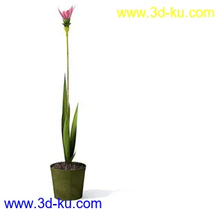 盆栽模型,盆景模型,花卉模型,植物模型合集共63个的图片52