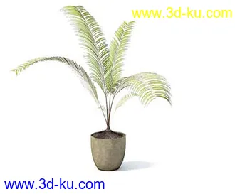 盆栽模型,盆景模型,花卉模型,植物模型合集共63个的图片54