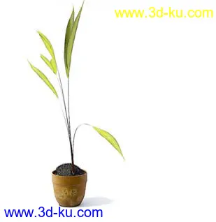 盆栽模型,盆景模型,花卉模型,植物模型合集共63个的图片55