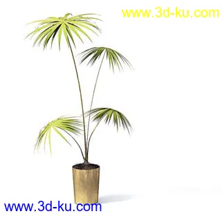 盆栽模型,盆景模型,花卉模型,植物模型合集共63个的图片56