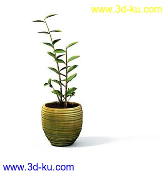 盆栽模型,盆景模型,花卉模型,植物模型合集共63个的图片57