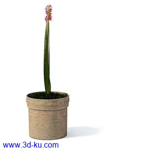 盆栽模型,盆景模型,花卉模型,植物模型合集共63个的图片59