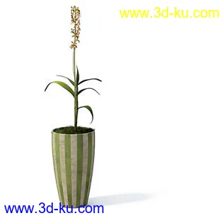 盆栽模型,盆景模型,花卉模型,植物模型合集共63个的图片60