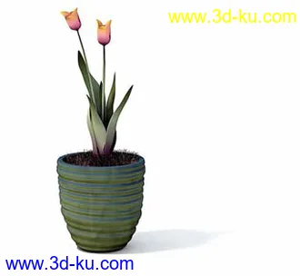 盆栽模型,盆景模型,花卉模型,植物模型合集共63个的图片62