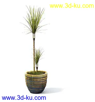 盆栽模型,盆景模型,花卉模型,植物模型合集共63个的图片63