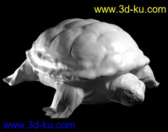 棺材模型,卡牌模型,灭火器模型,电机模型,乌龟模型,颜色盒子模型的图片